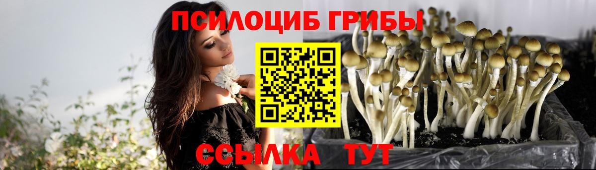 Псилоцибиновые грибы MAGIC MUSHROOMS  Псилоцибиновые грибы Psilocybine cubensis  Артёмовский  Вход с VPN 